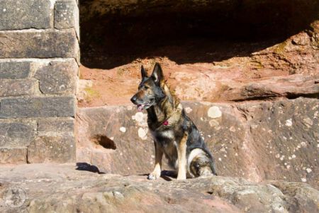 Ausflug zur Teufelsburg