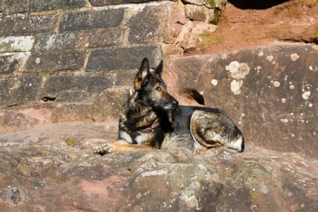 Ausflug zur Teufelsburg