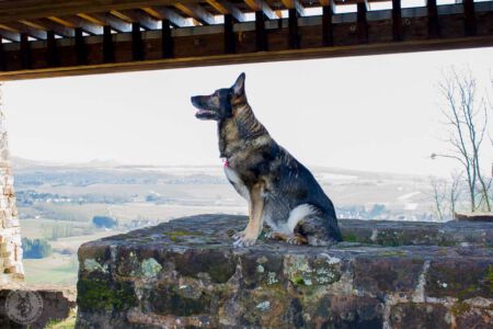 Ausflug zur Teufelsburg