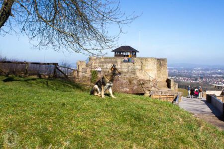 Ausflug zur Teufelsburg