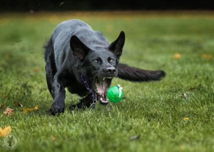 Danke an Tanja Zech und Klaus Peter Selzer