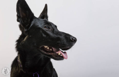 Danke an Tanja Zech und Klaus Peter Selzer