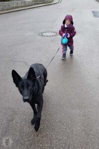 Unsere Tochter geht mit Devon spazieren