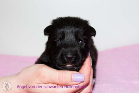 09.04.2020 Augen offen